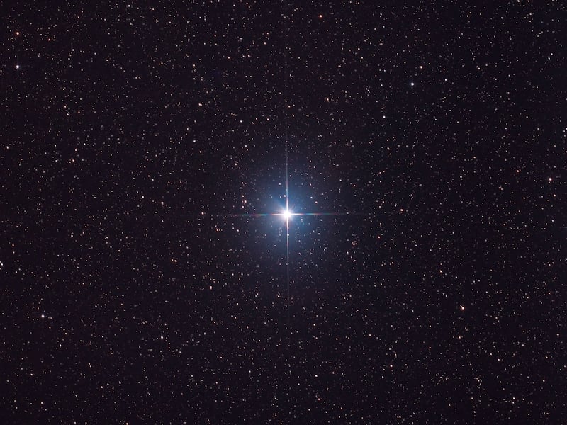 Portal del León 8/8