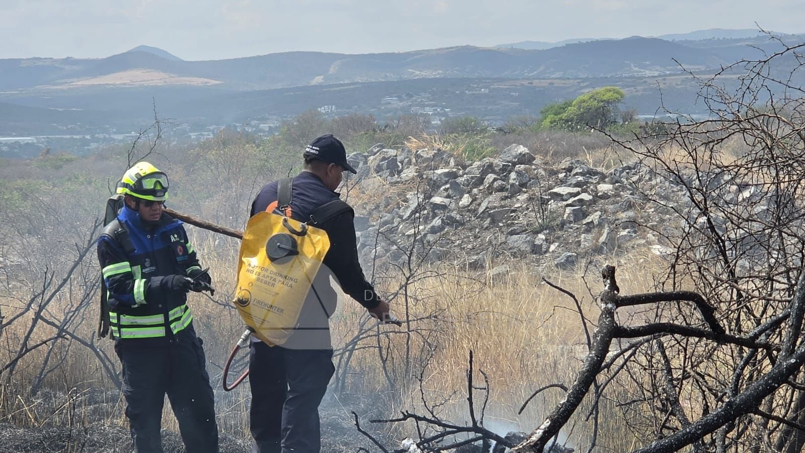 Incendios dañan más de 400 hectáreas en ANP