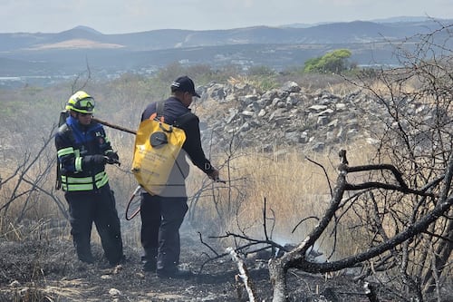 Van más de 400 hectáreas de ANP consumidas por incendios en Querétaro