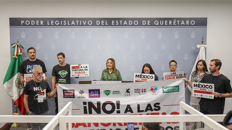 Iniciativa para abrogar las corridas de toros en Querétaro.