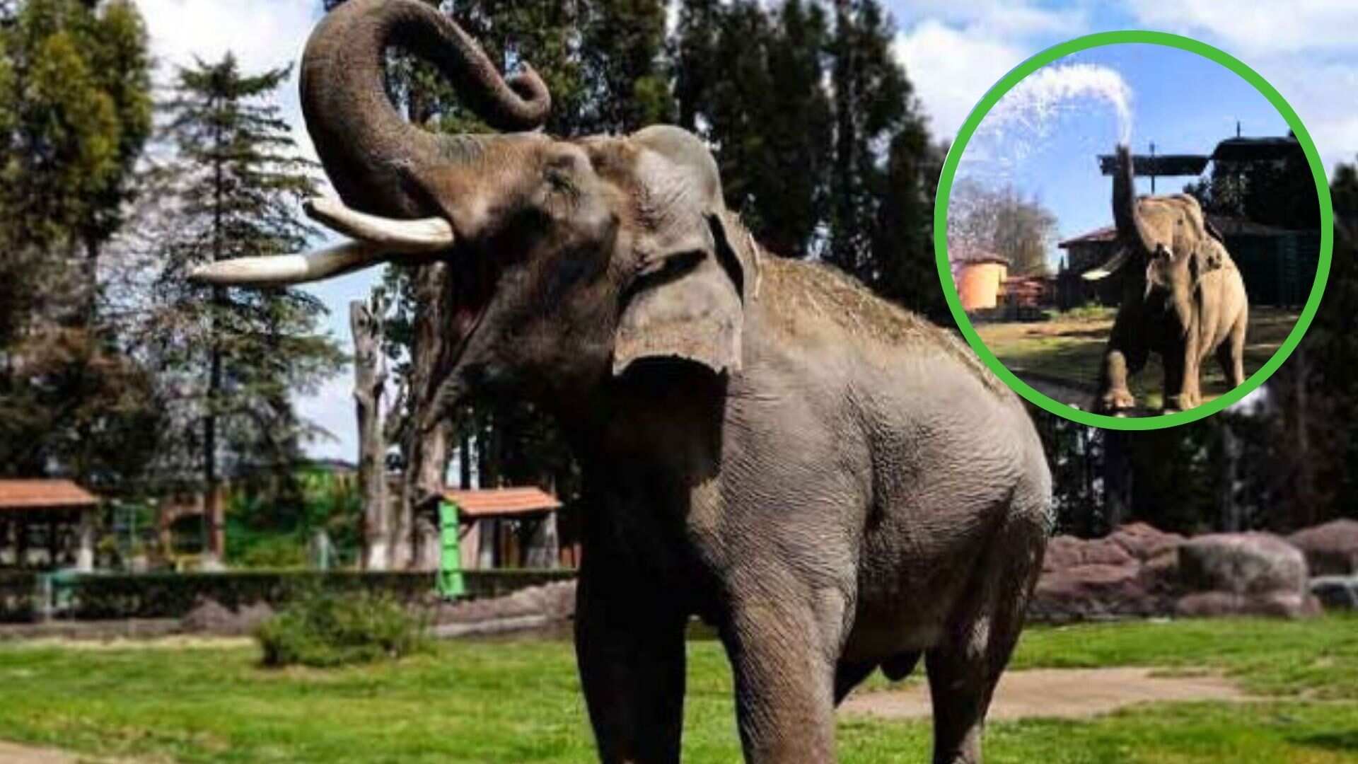 “Descansa en paz, Ted . Con tristeza, te decimos adiós”, escribió la mandataria mexiquense.