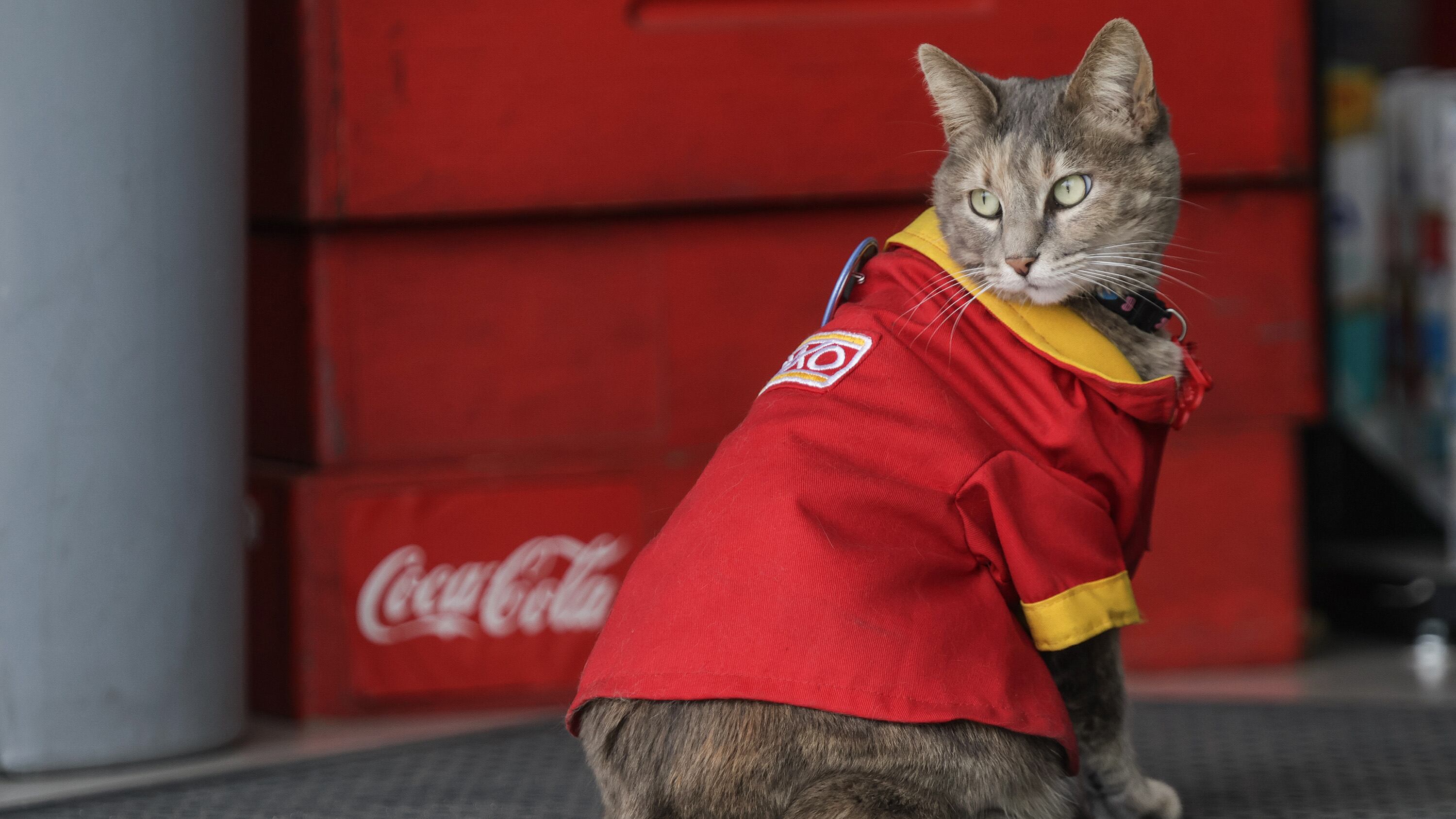 FOTO: Diego Alducin/Agencia Enfoque