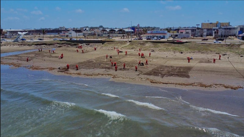 Limpieza de hidrocarburos en zonas costeras de Veracruz y Tabasco