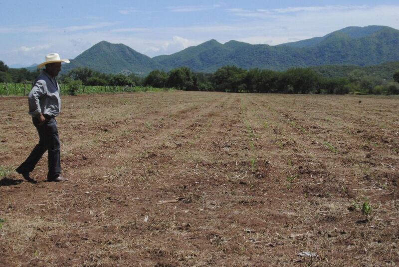 Intel y Kilimo en busca de mejor calidad de agua en México