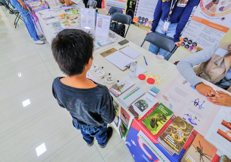 IMAGEN ILUSTRATIVA/ GOBIERNO DE JALISCO