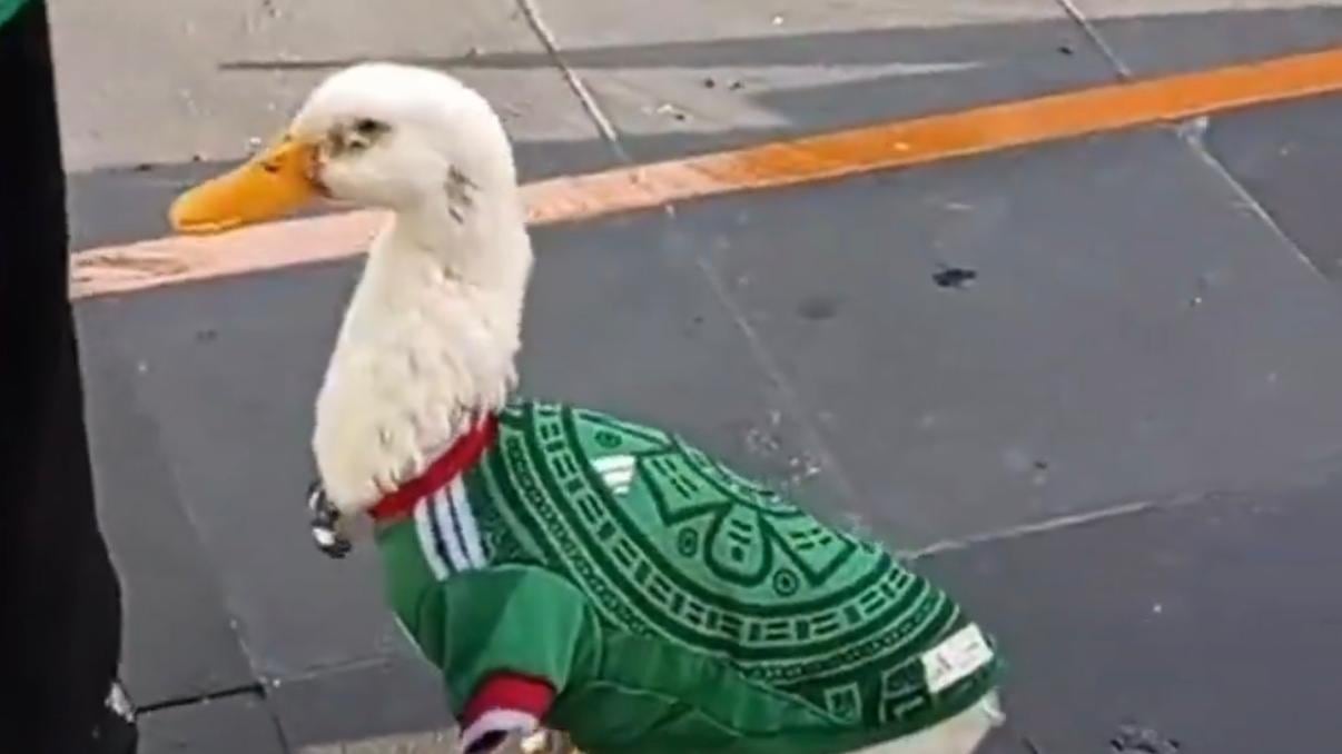 Mascota chilanga.
