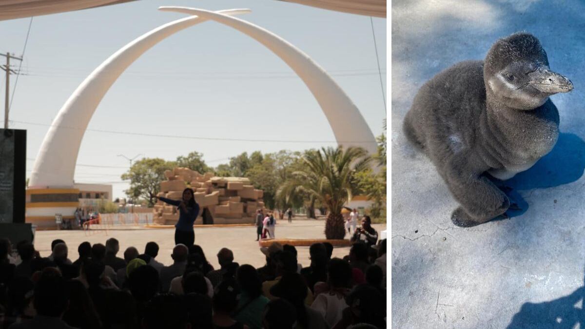 Nuevas especies en el Zoológico de León.