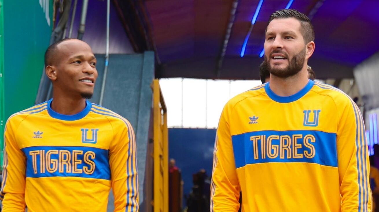 Tigres
