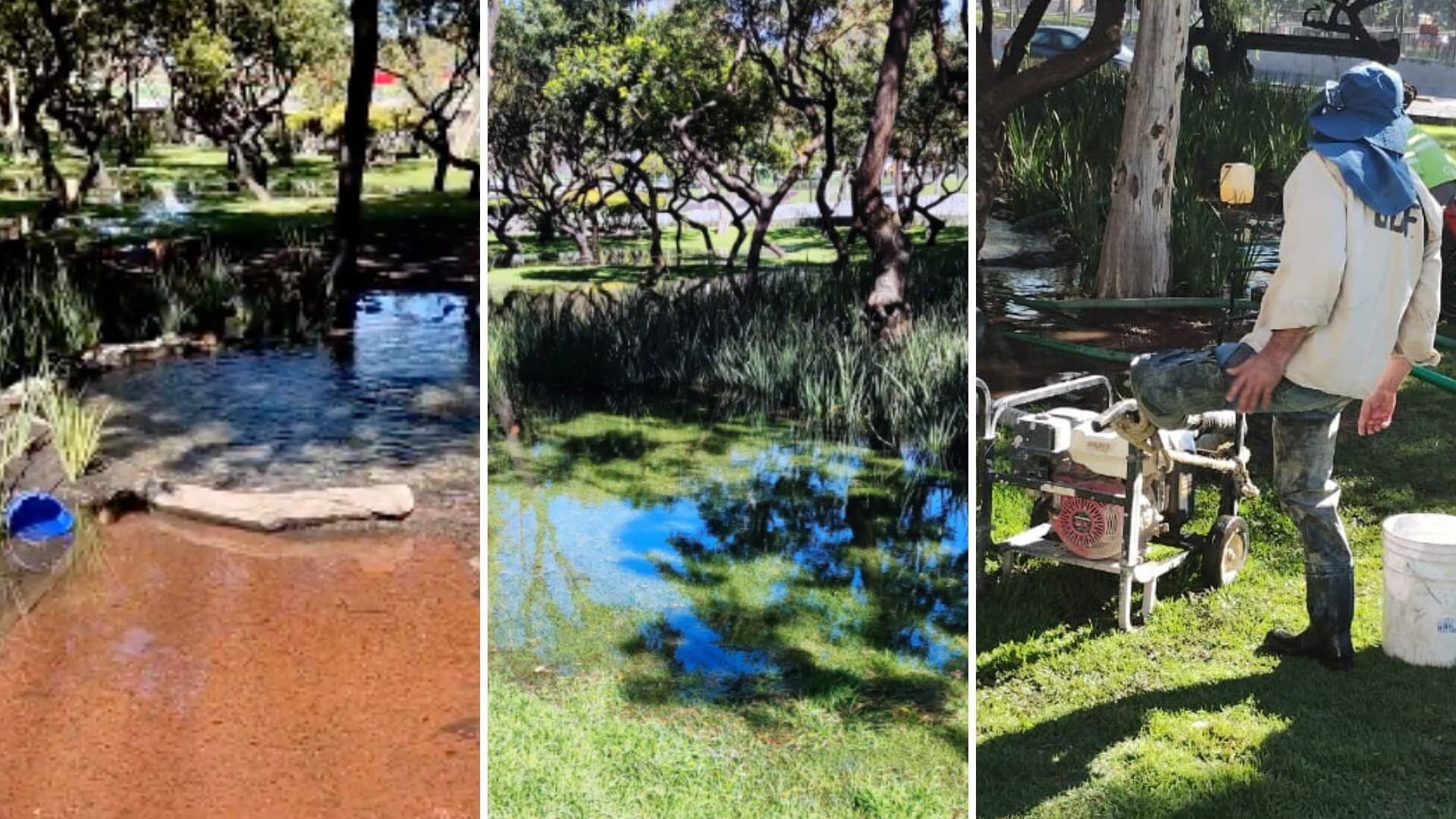 Fuga de agua en Insurgentes Norte.