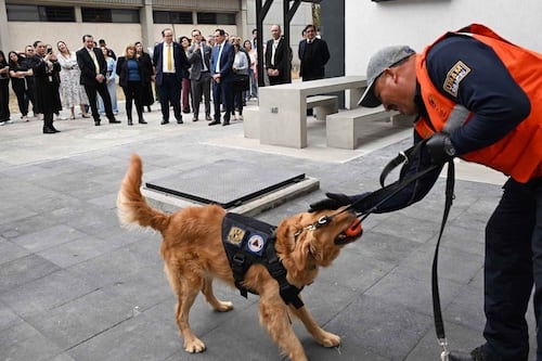 Desalojan FES Iztacala por posible amenaza de explosivos