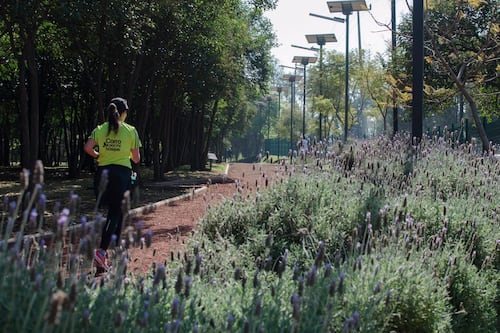 Colonias de CDMX ideales para hacer ejercicio y bajar de peso en Año Nuevo