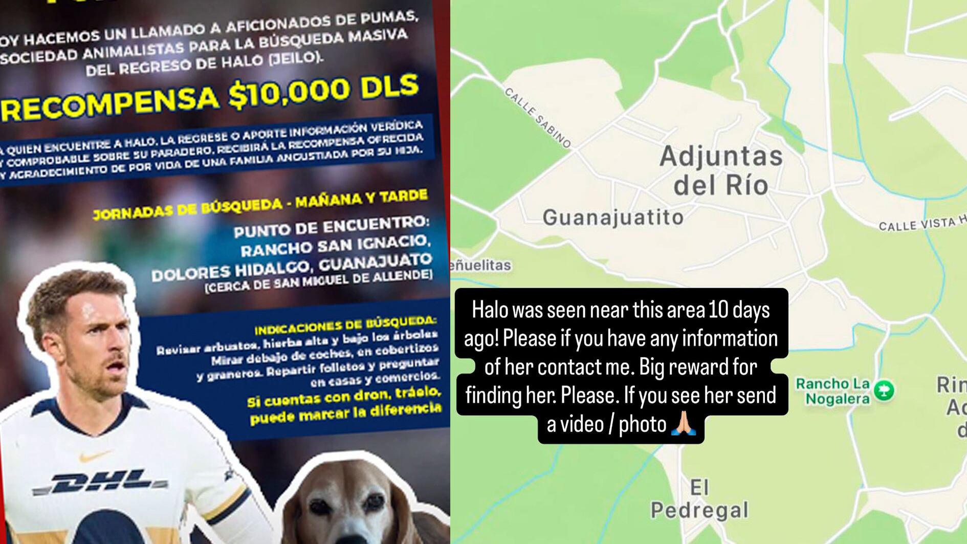 La buscan con drones en Guanajuato.