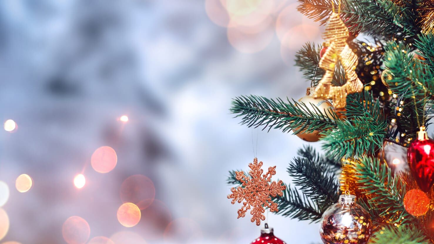 Las actividades están dirigidas a toda la familia.