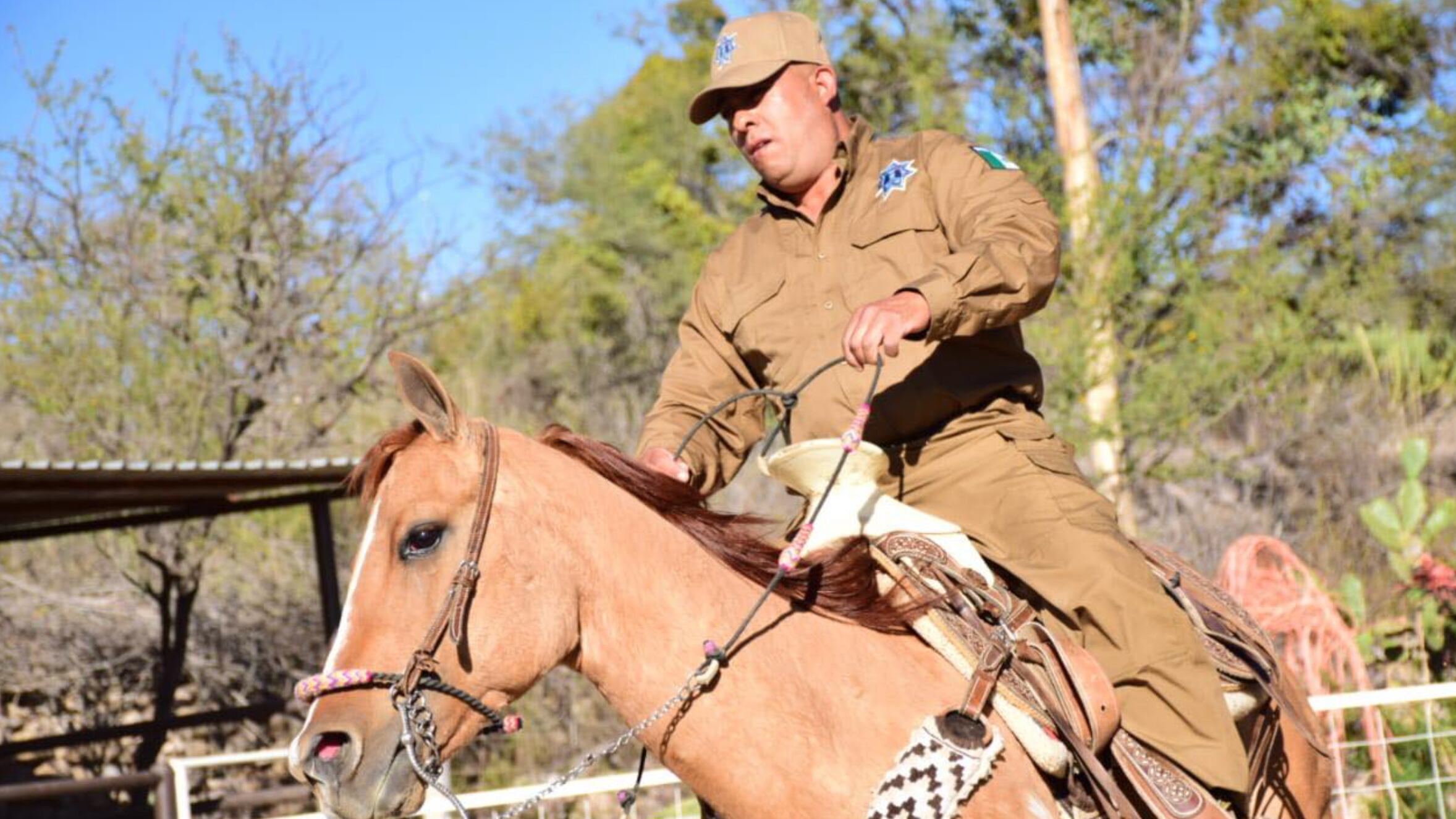Así vigilaran Guanajuato.