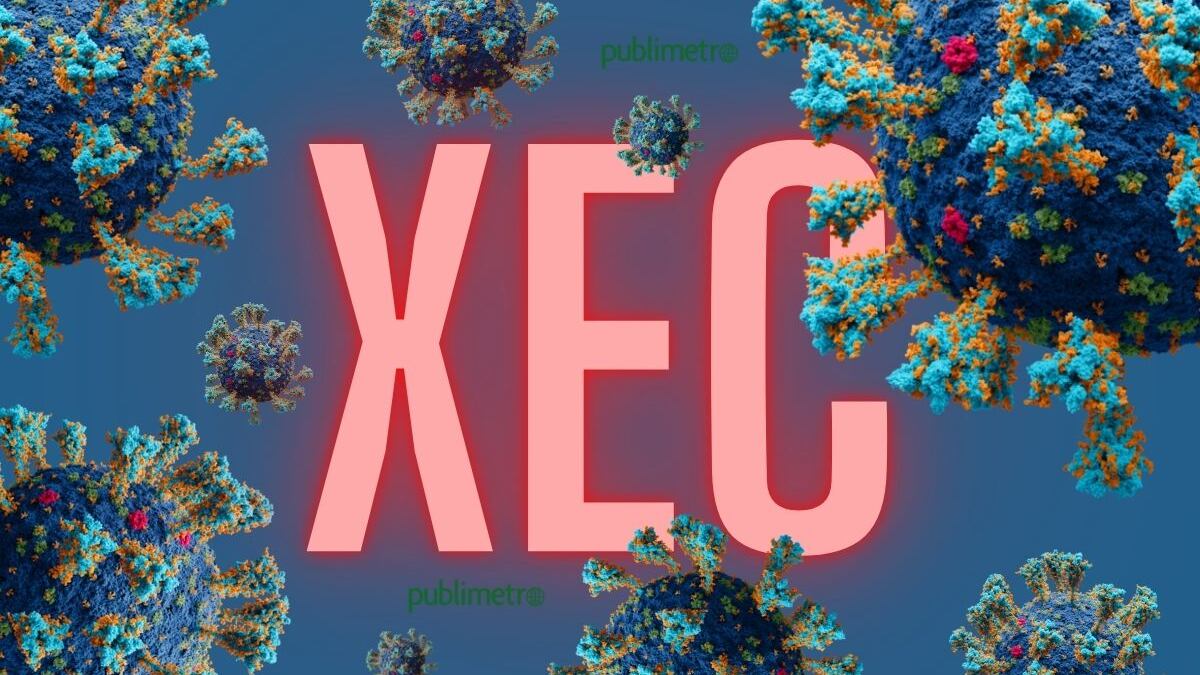 Nueva variante XEC de Covid: Síntomas y casos reportados a nivel mundial