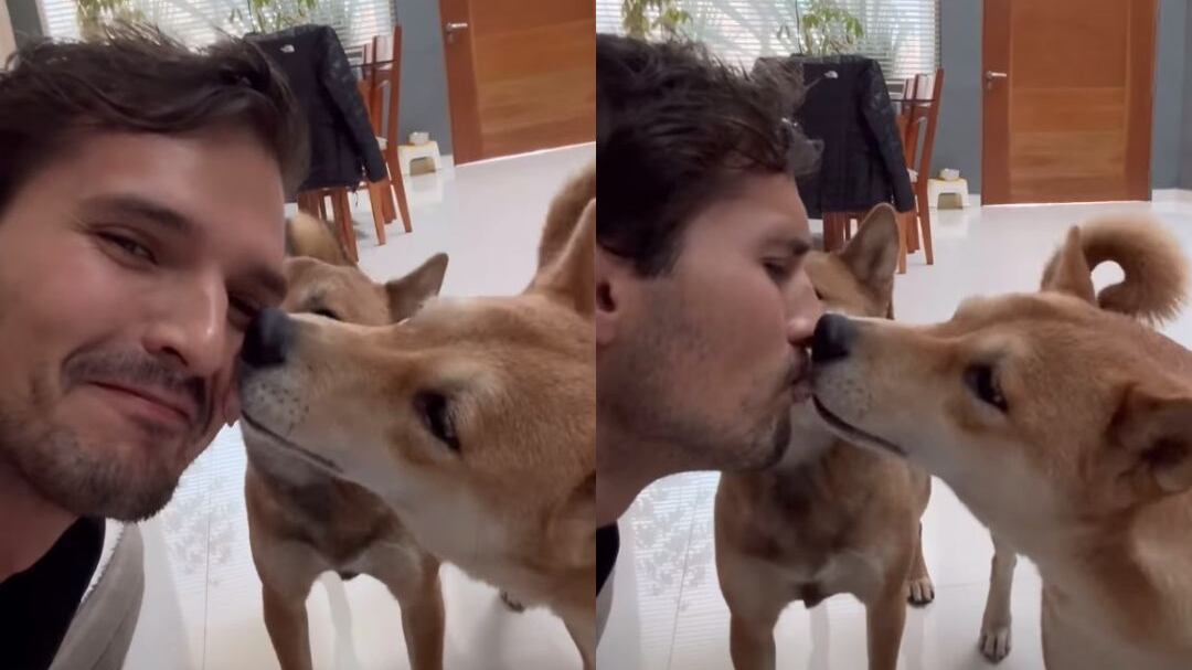 Memo Aponte acepta que les da gotas de CBD a sus mascotas