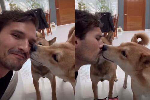 “Les ayuda”, Memo Aponte acepta que les da gotas de CBD a sus mascotas