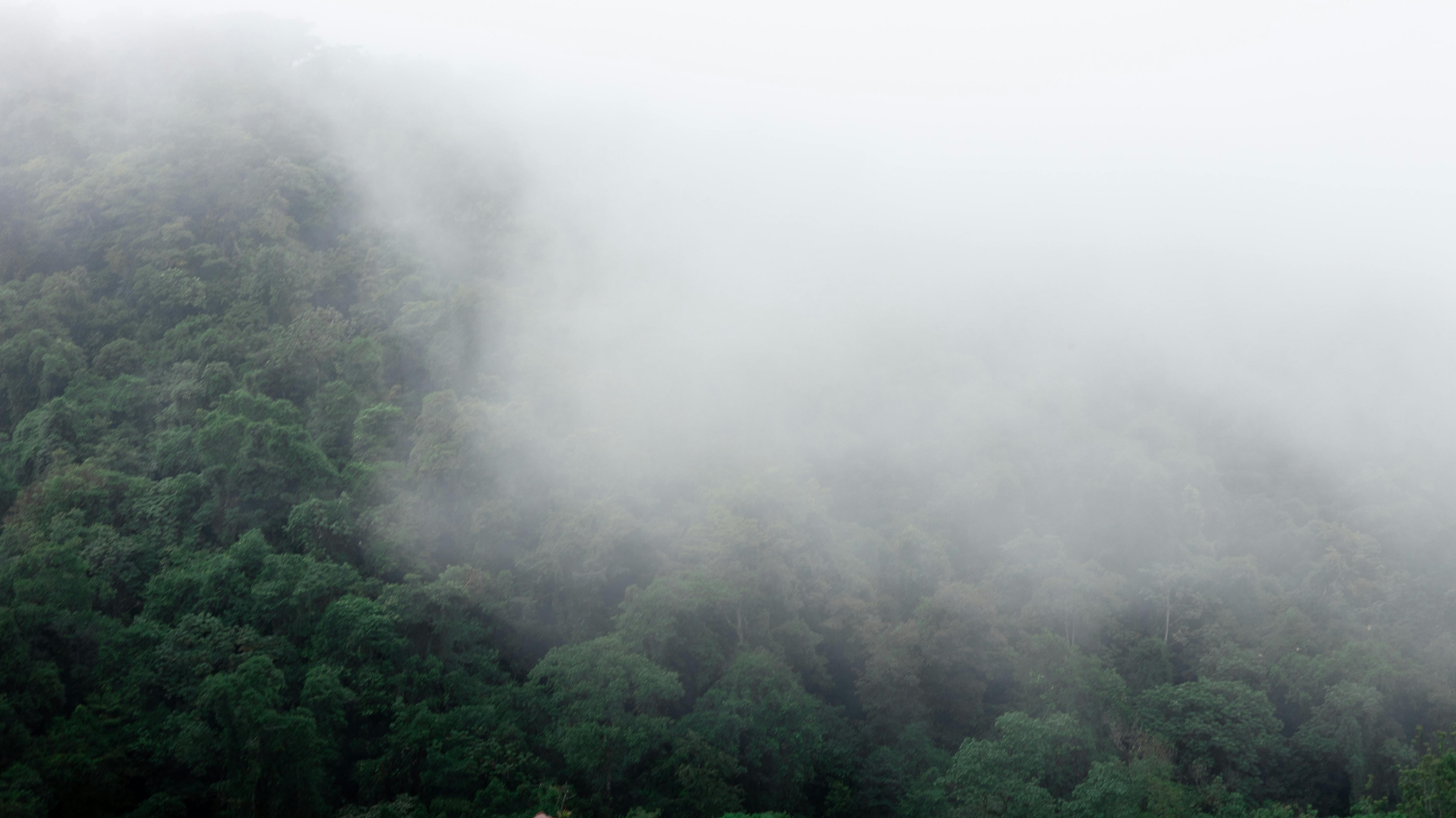 Van por 2 mil nuevas hectáreas de ANP en Cadereyta