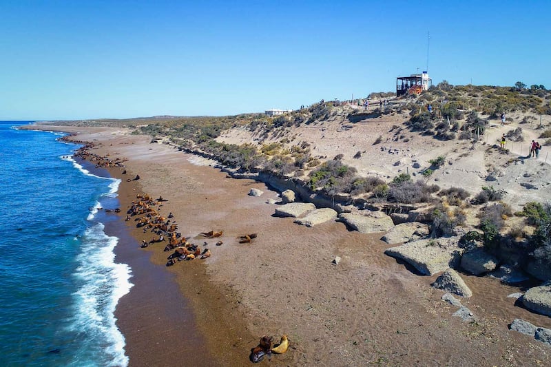 En este paraíso de la Patagonia podrás ver ballenas de cerca, caminar entre pingüinos y relajarte frente al mar en un entorno natural inigualable