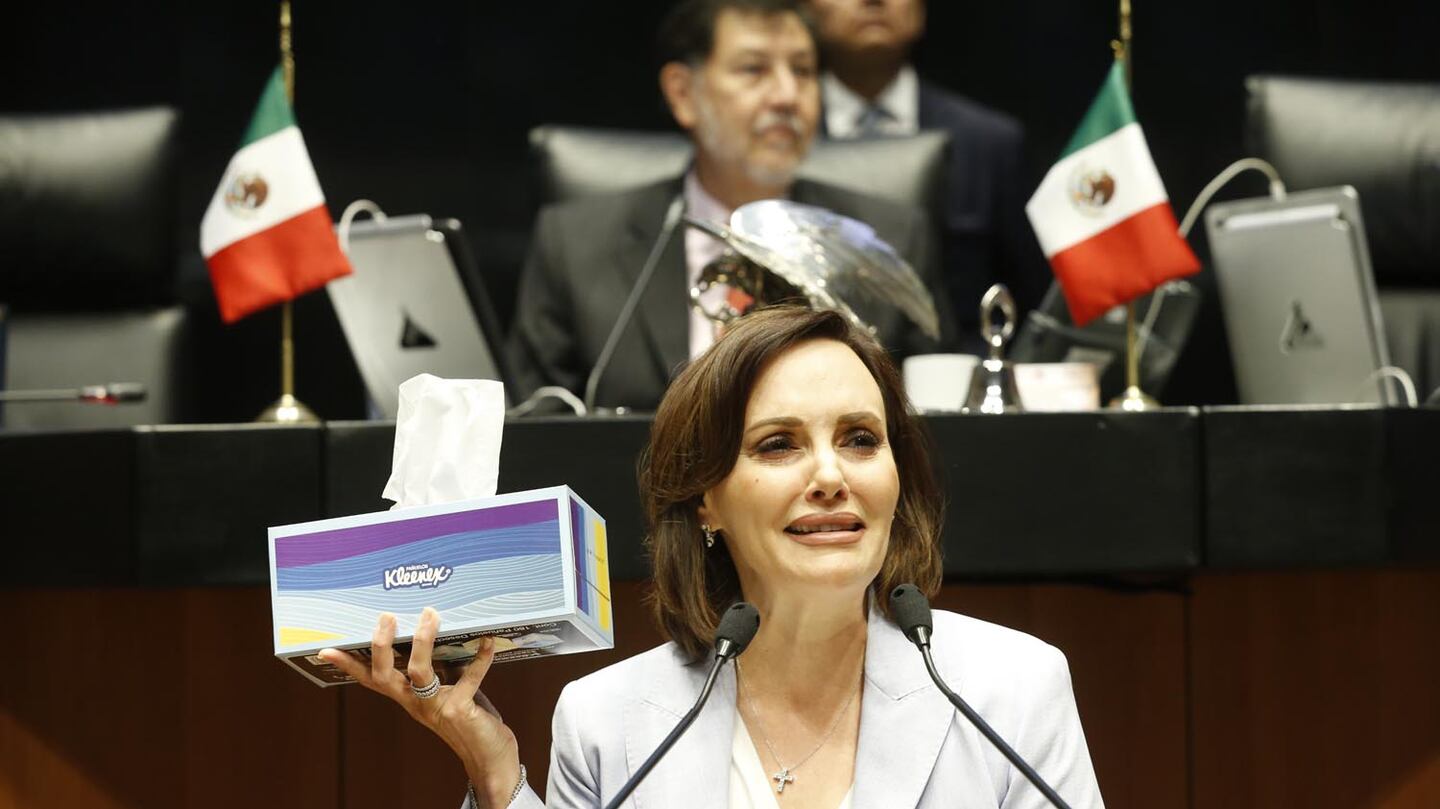 Lilly Téllez Se Burla De La Agresión A Noroña Y Le Regala Pañuelos Para Lilly Téllez Se Burla De La Agresión A Noroña Y Le Regala Pañuelos Para