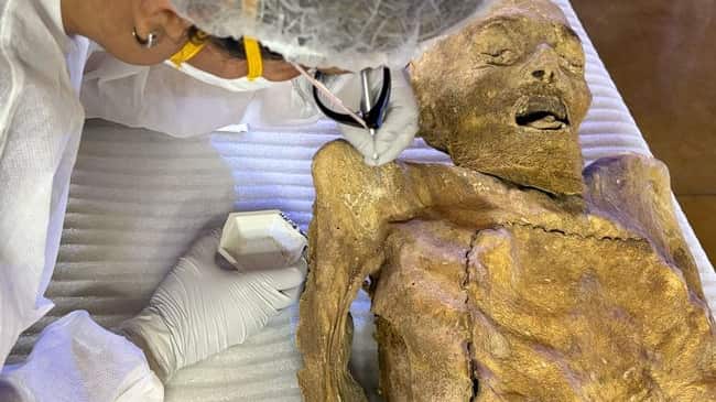 La momias de Guanajuato presentan peligro de daños irreversibles.