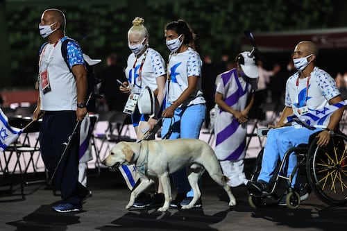 Cachorros se roban las miradas en ceremonia inaugural de Juegos Paralímpicos