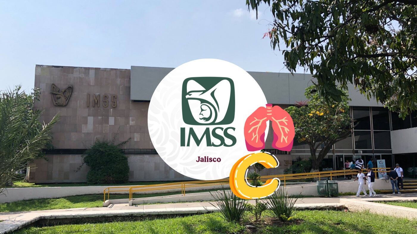 IMAGEN ILUSTRATIVA/ IMSS JALISCO/ ESPECIAL/ CANVA