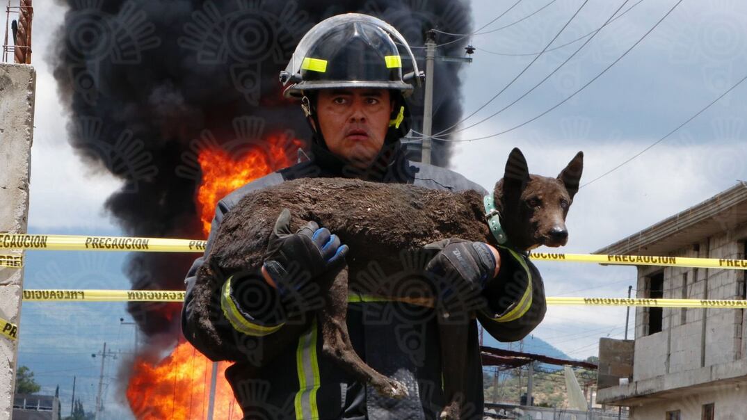 recibió muchos comentarios favorables por rescatar al lomito. (Twitter @SSPGobPue)