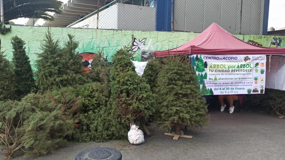 Centro de Acopio Árbol de Navidad