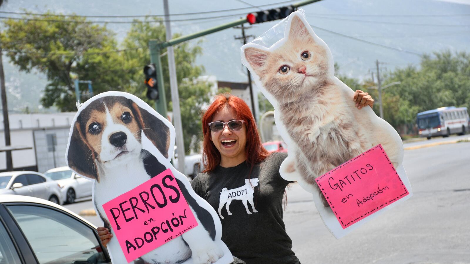Durante la más reciente feria de adopciones se recibieron 23 solicitudes de personas interesadas en quedarse con un “peludito”.