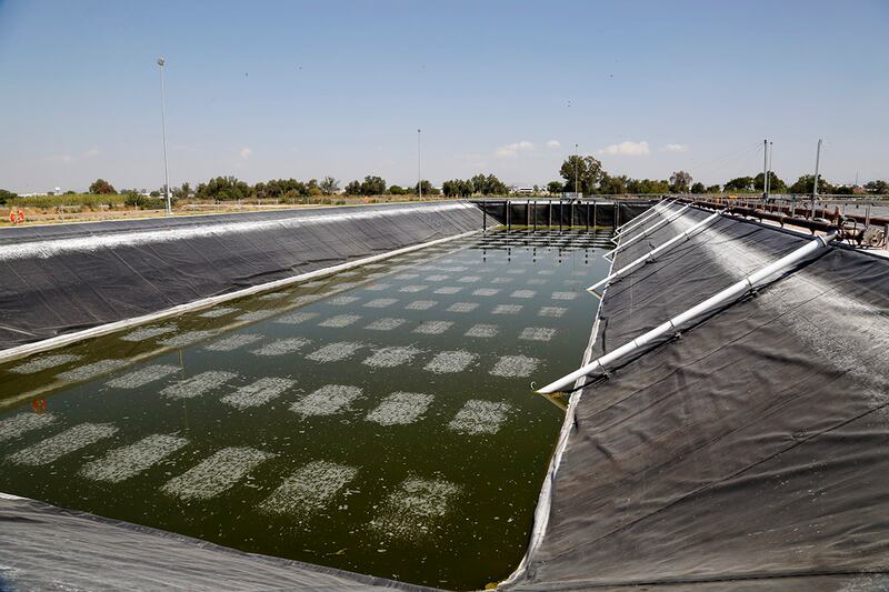 Planta potabilizadora de agua