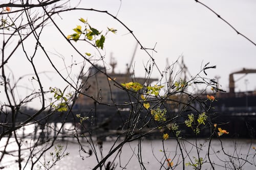 Precio del petróleo sacude los mercados, pero ¿cómo se mueve, quién lo define, y a qué se debe la volatilidad?