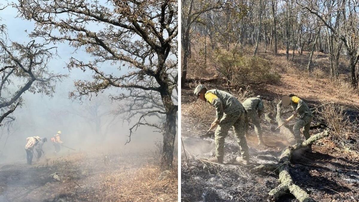 El incendio en la Sierra de Puruagua aún está activo