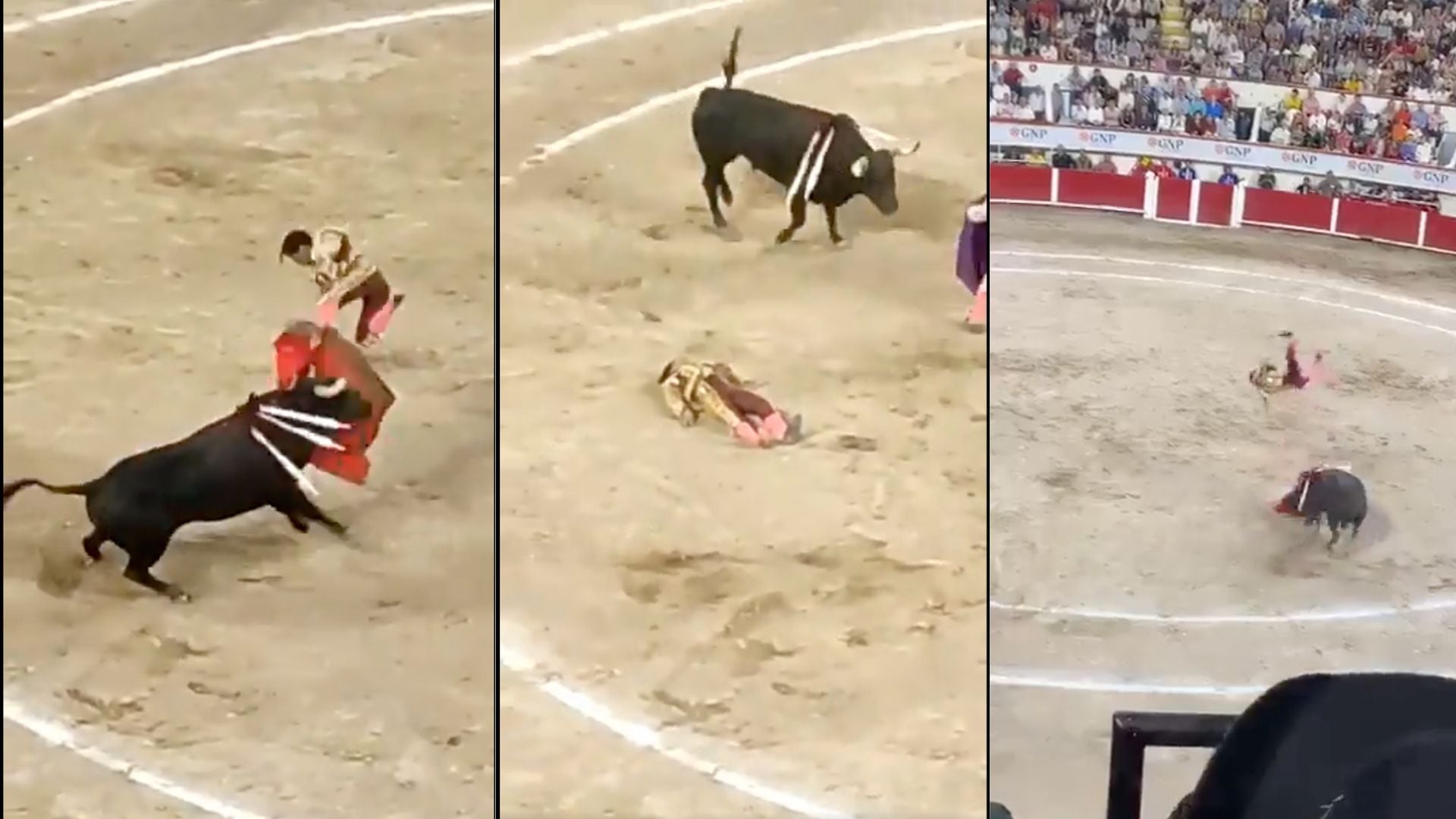 cornadas de toros
