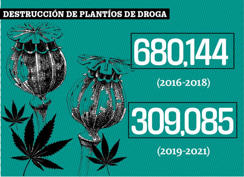 Sedena: ejército ‘suaviza’ golpes a plantíos del narcotráfico