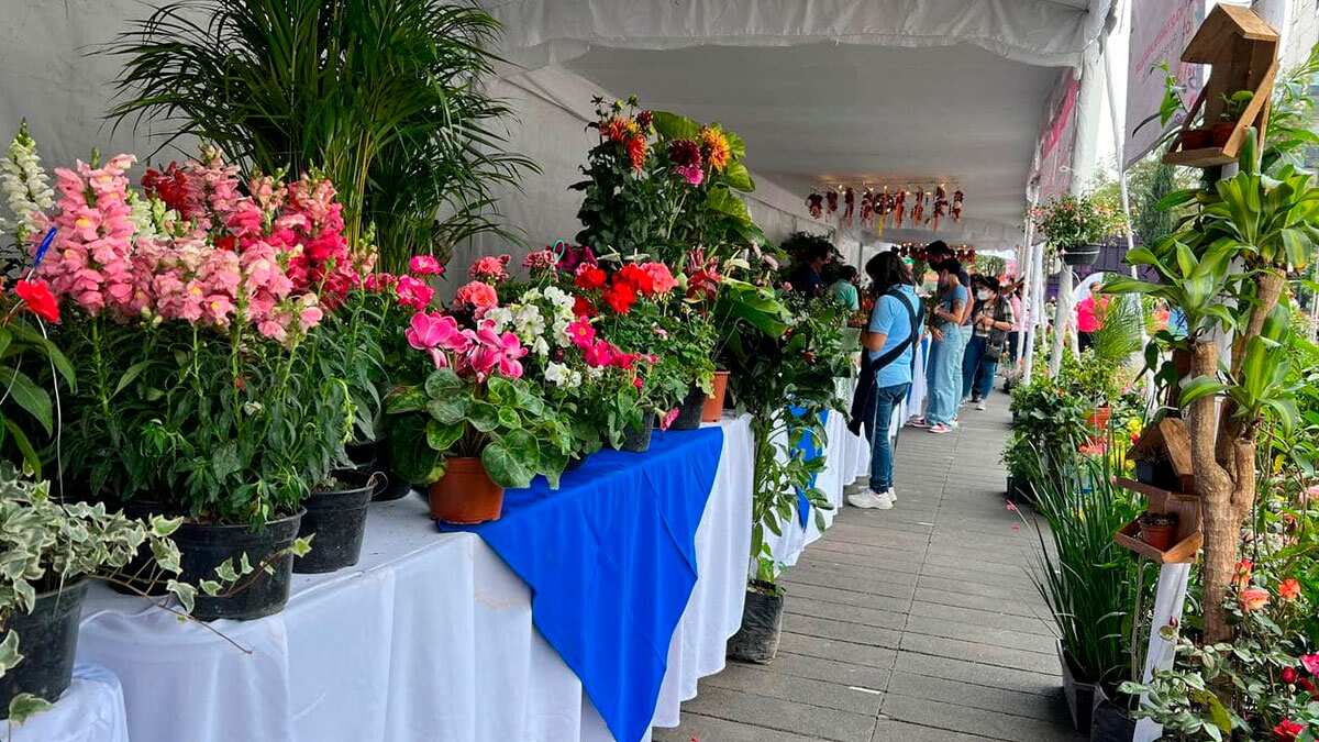 Festival Flores Otoño CDMX