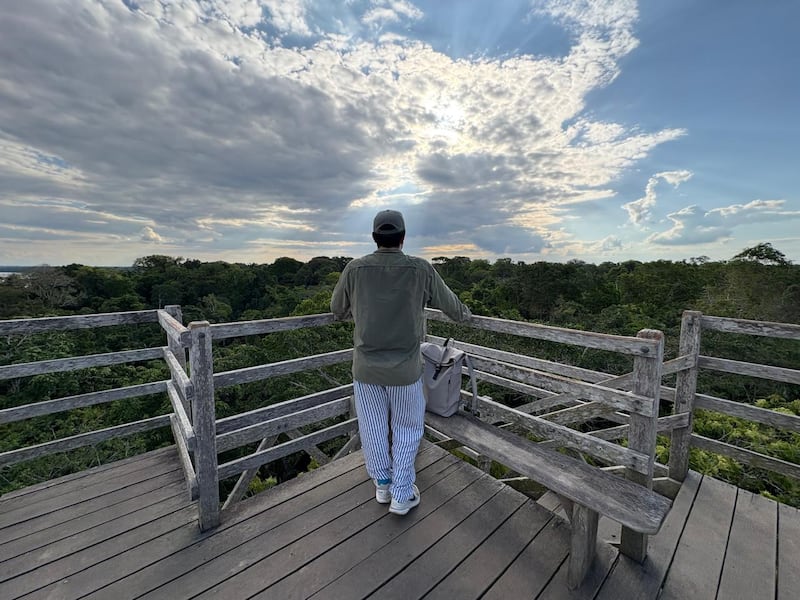 Desde Lima hasta Puerto Maldonado, te contamos cómo vivir una experiencia inmersiva en la selva amazónica. Hospedaje, gastronomía local y los mejores tours para explorar ríos, lagos y canopy en uno de los destinos más biodiversos del mundo