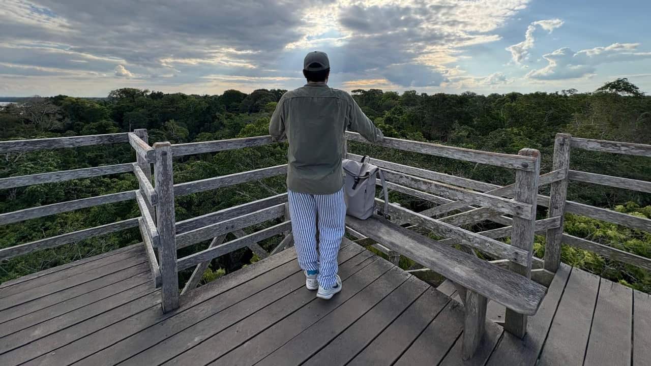Desde Lima hasta Puerto Maldonado, te contamos cómo vivir una experiencia inmersiva en la selva amazónica. Hospedaje, gastronomía local y los mejores tours para explorar ríos, lagos y canopy en uno de los destinos más biodiversos del mundo
