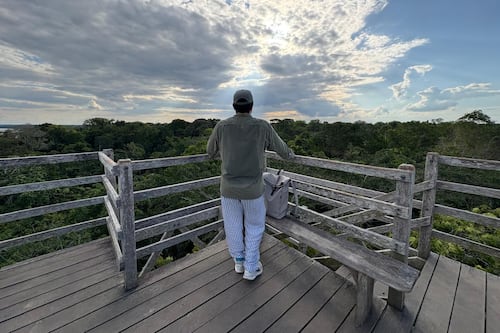 Madre de Dios: la puerta a la Amazonía peruana que debes descubrir