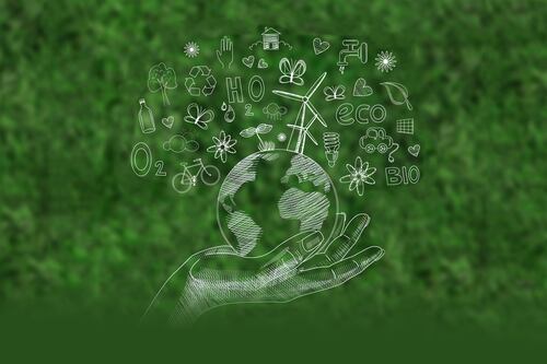 Consejos para cuidar al medio ambiente desde casa