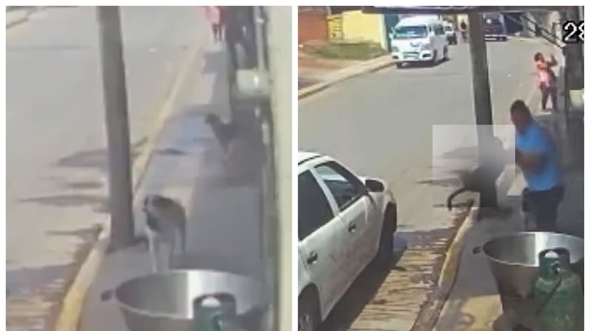 El lomito fue arrojado al cazo con aceite hirviendo. (Especial)