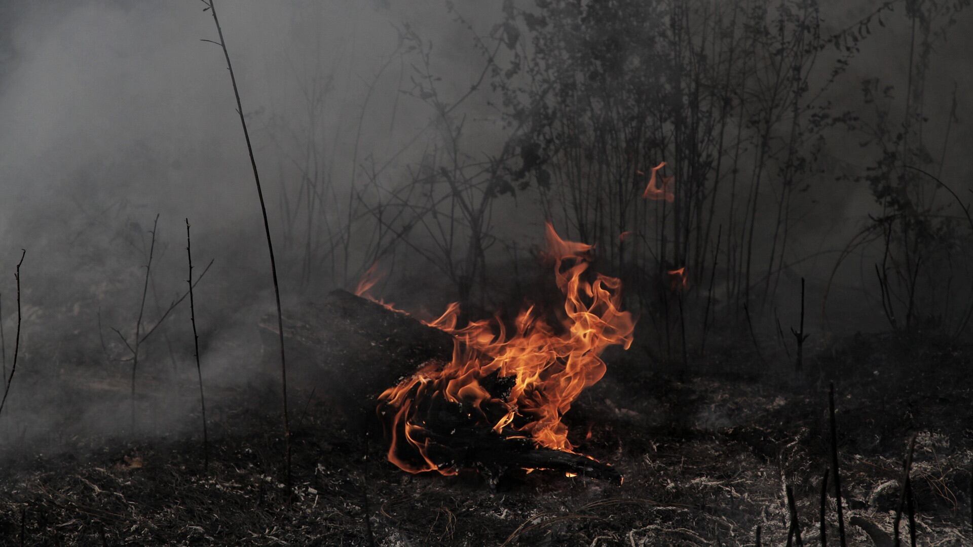 Con la llegada de la temporada invernal, la Secretaría de Medio Ambiente y Desarrollo Territorial (Semadet) exhorta a la ciudadanía a evitar actividades que generen emisiones contaminantes, como la quema de llantas, fogatas, uso de pirotecnia no controlada y la cocción de alimentos con carbón. Estas acciones buscan prevenir episodios críticos de mala calidad del aire y proteger la salud de los habitantes del estado.