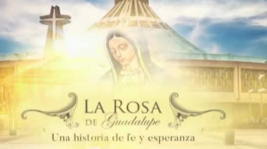 Joven actor confiesa lo que ocurre en el programa