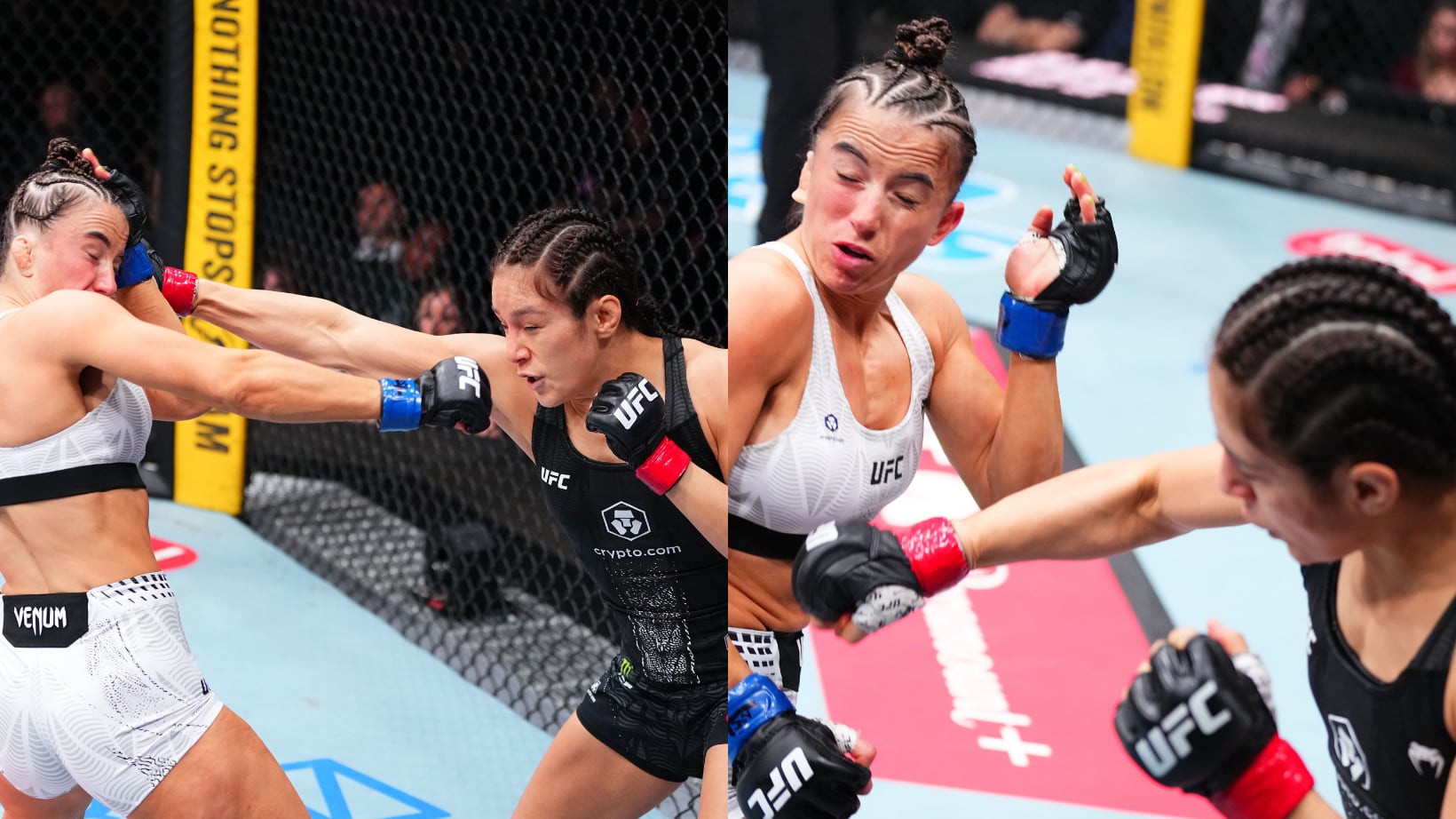 Alexa Grasso ganó por nocaut.