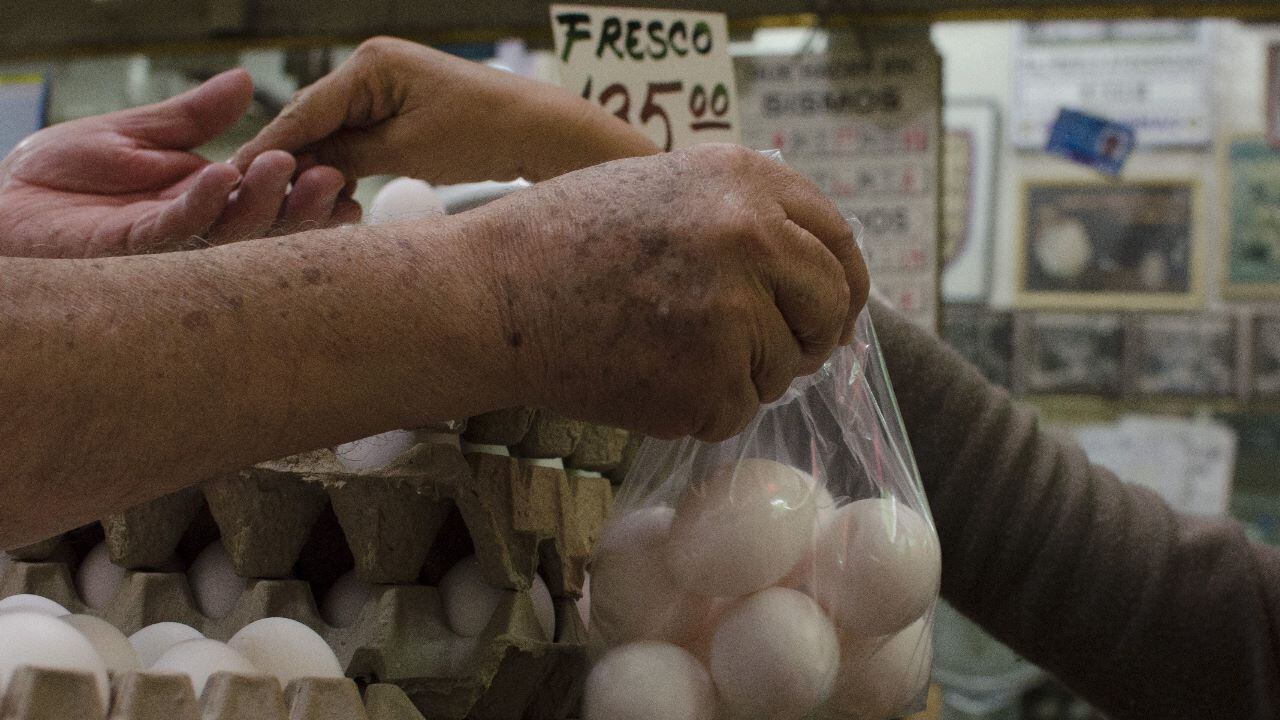 El Plan Contra la Inflación y la Carestía (Pacic) no funciona y abrió paso a la compra de alimentos de más baja calidad, evidenció la Anpec.