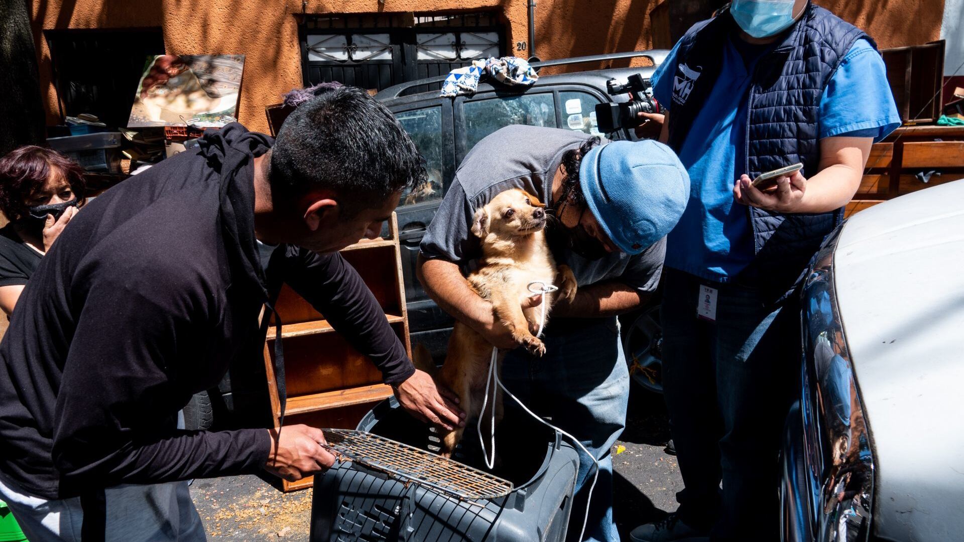 Liberación de perros en Miguel Hidalgo.