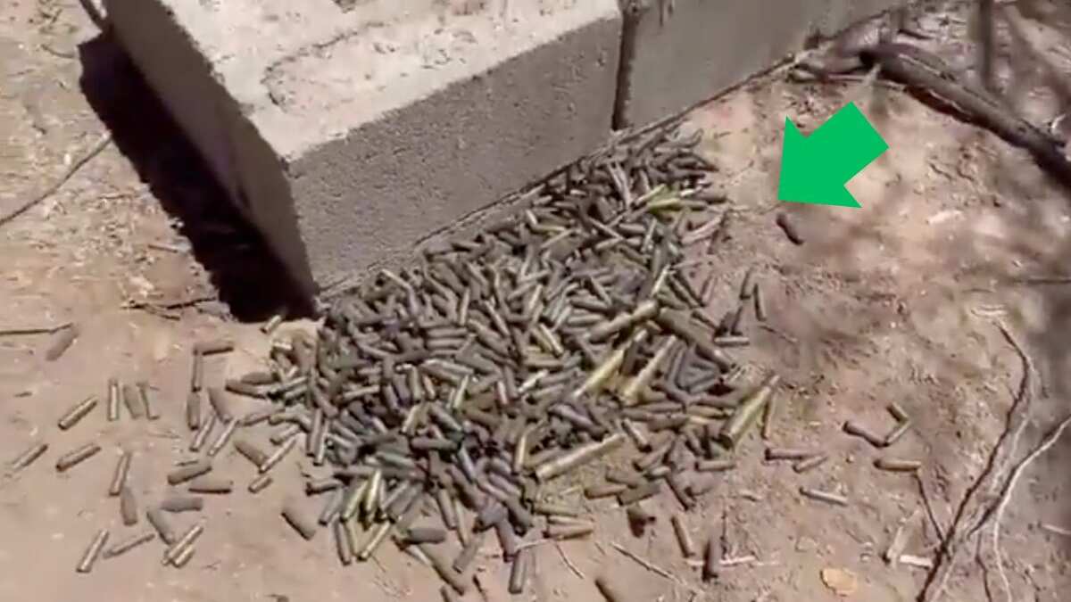 Madres buscadoras hallan ‘nido’ de casquillos: Ceci Flores descubre rastro de violencia en México