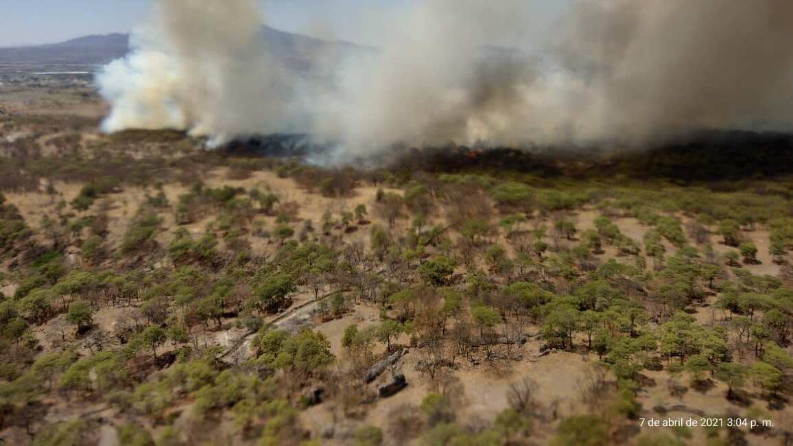 Según los primeros reportes el fuego comenzó por una quema agrícola fuera del polígono de protección.