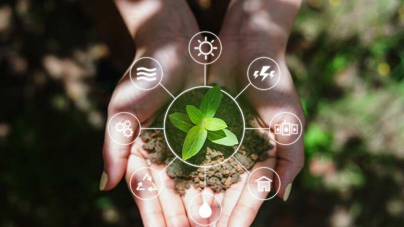 Danone sustentabilidad