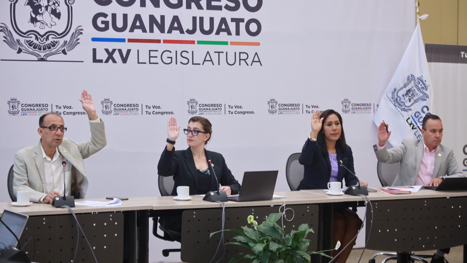 Despenalización del aborto en Guanajuato seguirá en “el congelador” del Congreso.